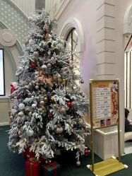 -奈尔宝·儿童乐园·亲子餐厅(华采天地店)