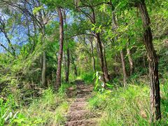 -青龙山国家森林公园
