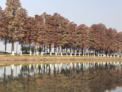 -东湖落雁景区
