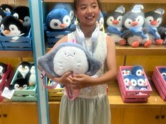 -海合安成都极地海洋公园
