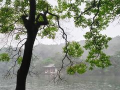 -紫霞湖公园