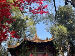 -西安碑林博物馆