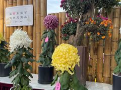 -上海大学(宝山校区)
