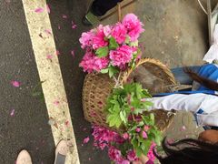 iphone_upload_pic-乐天花谷