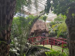 -石家庄市植物园