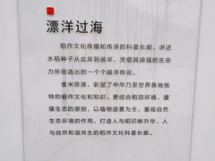 -艾米稻香小镇