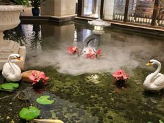 -广州白天鹅宾馆