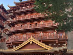 -大佛寺高级素食自助餐厅