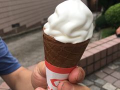 -富豪雪糕车流动点(尖沙咀店)