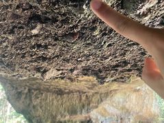 -上色见熊野座神社