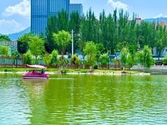 -雁滩公园