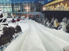 -世界之窗阿尔卑斯冰雪世界