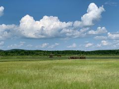 -塞罕坝国家级自然保护区