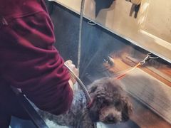 -PETKIT小佩宠物·低压洗护(国顺东路店)