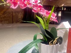 -大明王朝·南京菜(墨香路店)