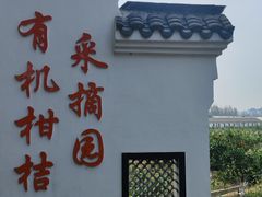 -上海长兴岛郊野公园
