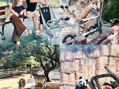 -泉州海丝野生动物世界