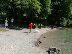 -长春市南湖公园