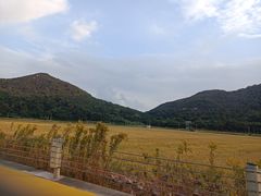 -东海半边山旅游度假区
