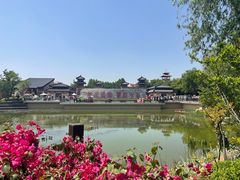 -中华郡文化旅游景区