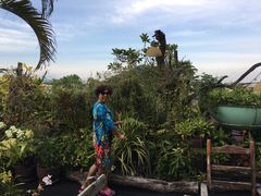 -自然餐厅(Phuket)