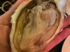 -金蜗牛