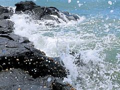 -漳州滨海火山岛自然生态风景区