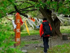 -阳台山自然风景区