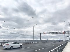 -星海湾跨海大桥