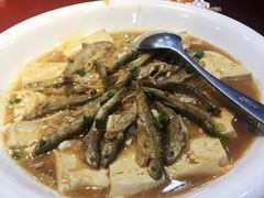 溪鱼焖豆腐-鹭岛新泉客家菜·海鲜·融合菜(莲前店)