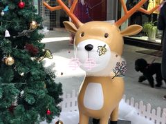 -金轮星光名座生活广场