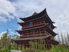 -东平国家森林公园