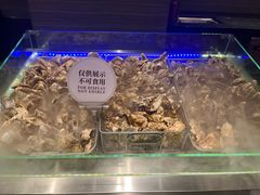 -东方红海鲜百汇(国际大厦店)