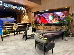 -SFC上影影城(港汇永华IMAX激光店)