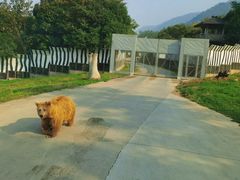 -西安秦岭野生动物园