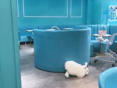 -脑馋粉儿(三里屯店)