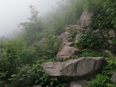 -九峰山
