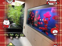 -宫七SPA·高端Massage(浦东大道店)