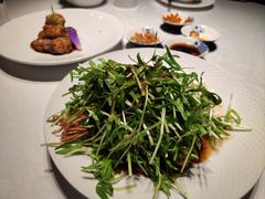 -凤凰湘语(浦东旗舰店)