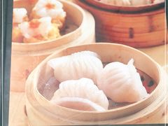 -高第街56号餐厅(凯德mall新都心店)