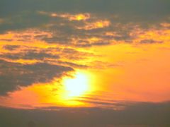 -重庆希尔顿酒店