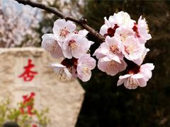 -北京凤凰岭