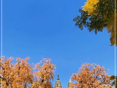 -北京石刻艺术博物馆(五塔寺)