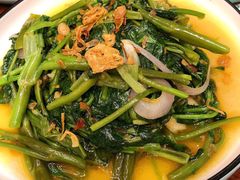 飞天空心菜-苏梅花园(群星城店)