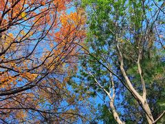 -秦岭终南山世界地质公园翠华山景区