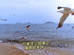 -傅家庄公园