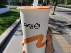 -CoCo都可(高新新力店)