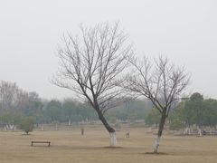 -钟山体育运动公园