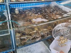 水产区-蟹谢蒸鲜自助餐厅
