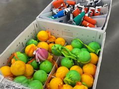 -迪卡侬(西华店)